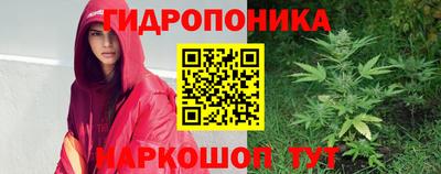 гидропоника Свободный